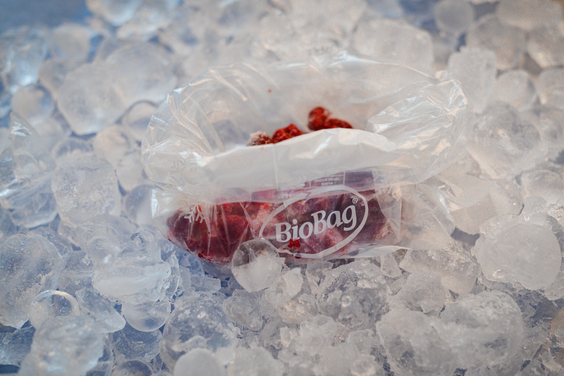 Food and Freezer Bags